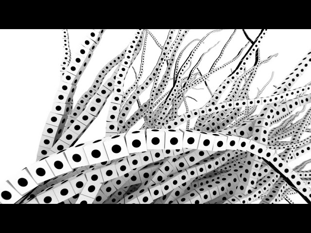 Structure Synth Binary Kite  VR180 3D