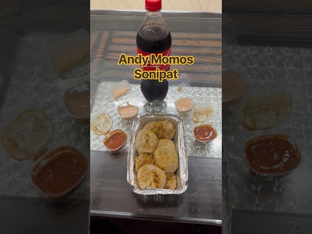 Andy Momos Sonipat 🤤 | Sector 16 Sonipat Ke Famous Momos!