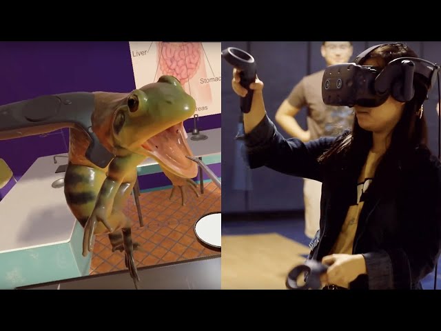 VictoryVR & VR Frog Dissection: Ribbit-ing Discoveries | Viveport Developer Stories