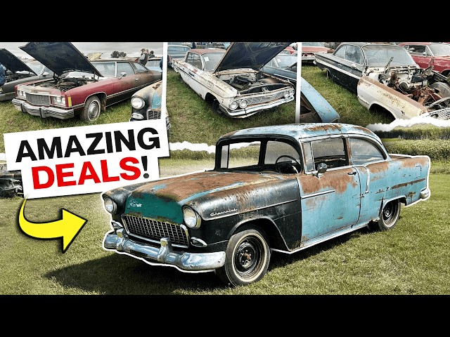 Incredibly Affordable Auction!