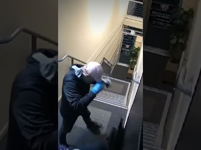 Stealing Pokemon Cards is Crazy