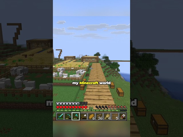 1165 wool for 1165 subscribers #minecraft