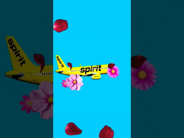 Fly into #Spring with a #vacation from @spiritairlines. ✈️🌺🌷🌸 #ad spirit.sjv.io/216Dqz