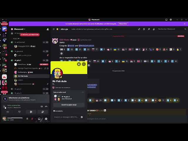 SOUL C2 VS DISCORD VC
