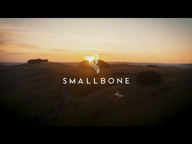 Timeless British Craftsmanship: Inside Smallbone's Workshop & Handcrafted Kitchen Masterpieces