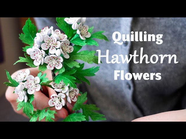 Making paper quilling Hawthorn flowers for the first time - Mother's Day Art