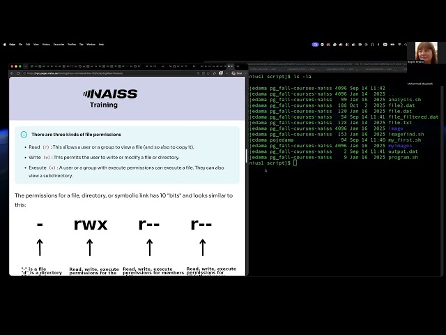 Lecture 8: BASH scripting