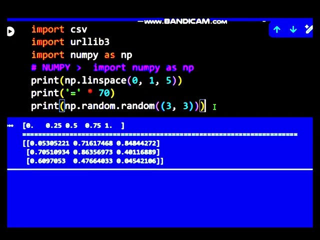 Python Numpy Quickstart #numpy #datascience #python