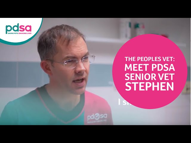 The People's Vet: Meet PDSA Senior Vet Stephen