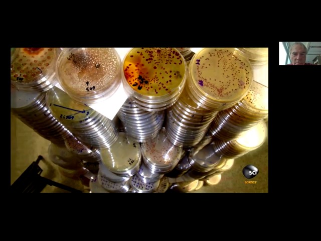 Re-interpreting Long-Term Evolution Experiments: A Conversation with Dr. Scott Minnich