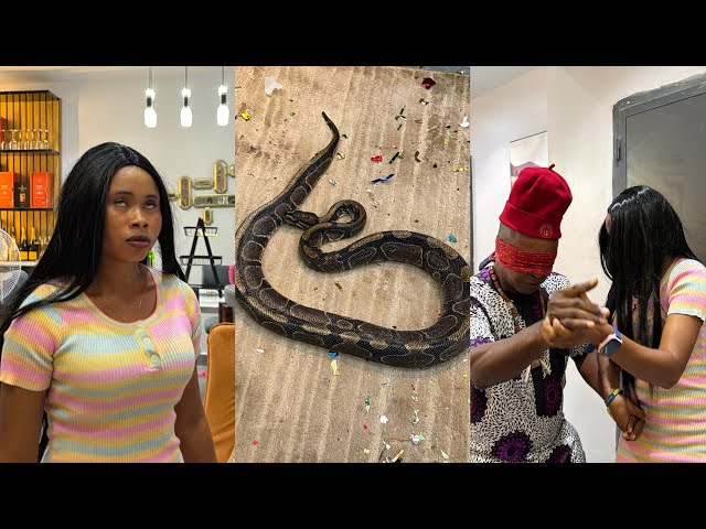 Python 🐍 who came in a human form has been living with them for the past 20 years without them know 