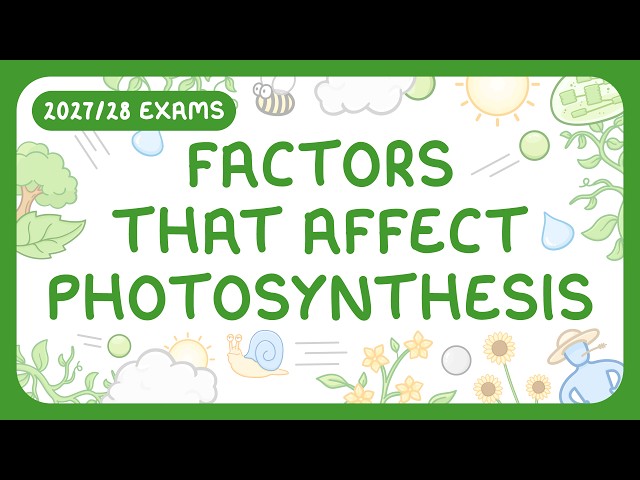 GCSE Biology - Factors Affecting the Rate of Photosynthesis | Limiting Factor Graphs (2027/28 exams)