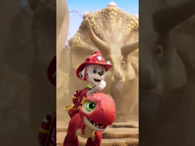 Welcome to Jurassic Bark 🦖 #PAWPatrolMovie #NationalDinosaurDay