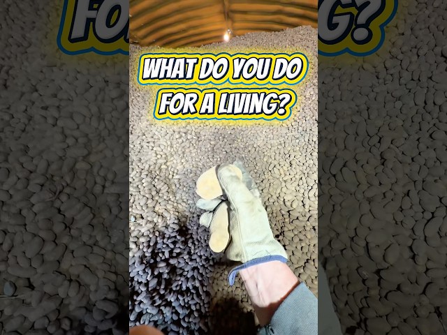 I cause spudslides! #farming #agriculture #farmer