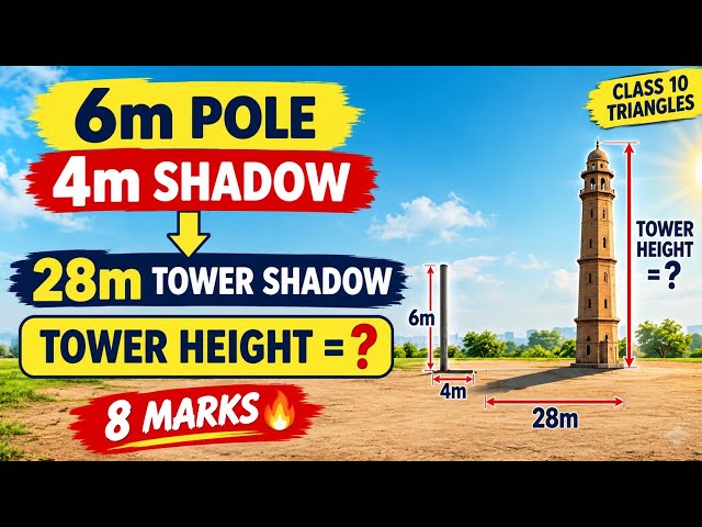 Class 10 Maths 🔥 8 Marks Question | Similar Triangles | Find the Height of the Tower?