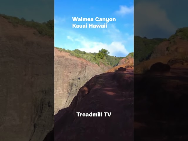 Full video at @TreadmillTV