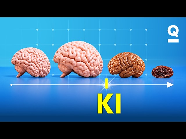 Lässt die KI unser Hirn verkümmern? | Studio Q