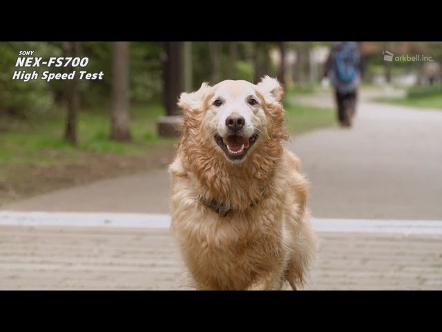 Sony NEX-FS700 High Speed Test + BTS