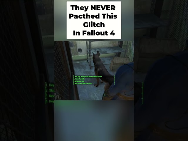 Fallout 4: This INSANE Glitch NEVER Got Patched...      #fallout #fallout4  #gaming
