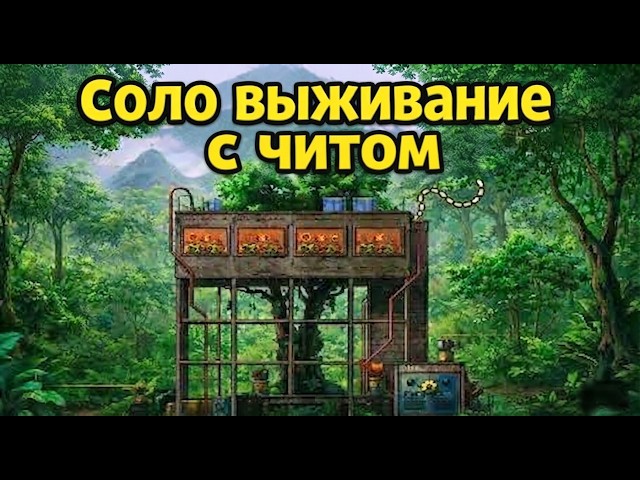 МОЙ ЛУЧШИЙ СОЛО ВАЙП С ЧИТОМ