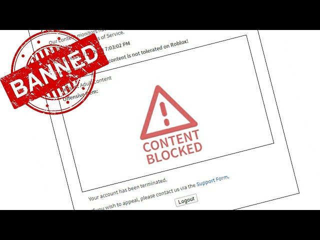 TYPES OF BANS IN ROBLOX