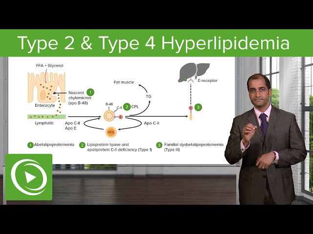 Hyperlipidemia: Type 2 & Type 4  – Cardiovascular Pathology | Lecturio