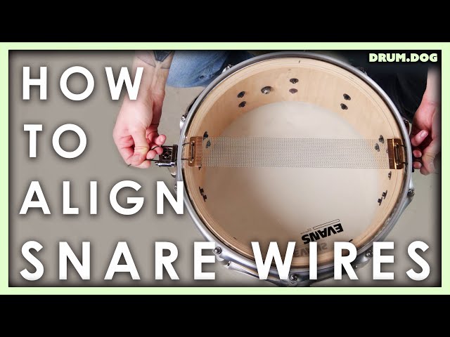 How to Align Snare Wires | Drum Dog