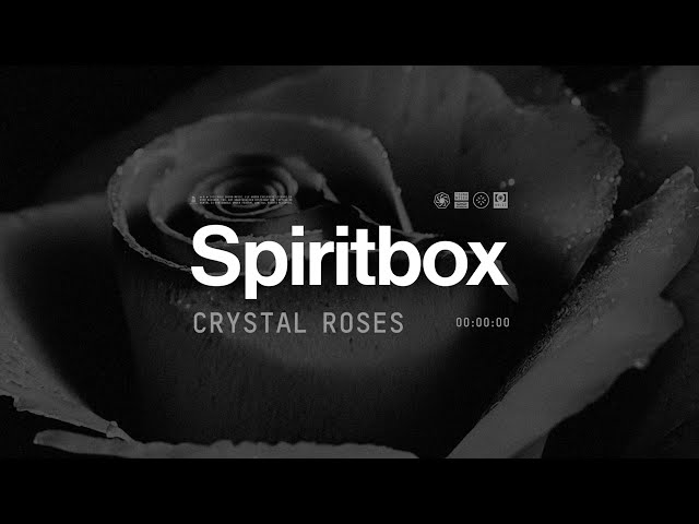 Spiritbox - Crystal Roses (Official Visualizer)