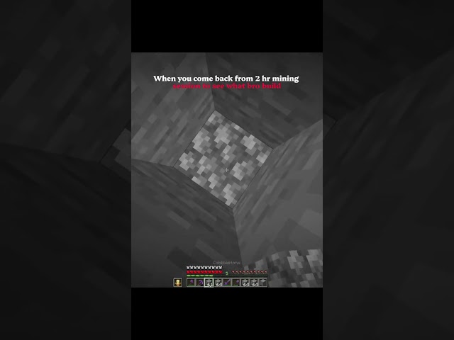 When you come back from 2 hr mining session to see what bro build .