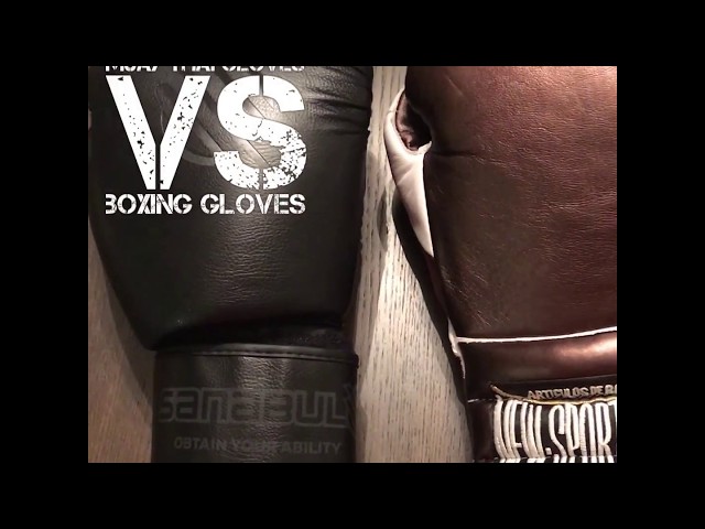 Muay Thai Gloves VS Traditional Boxing Gloves