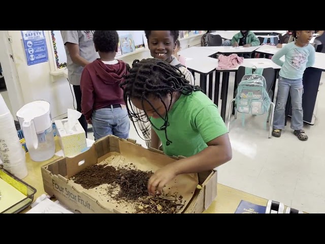 3 phases of compost (elementary mix)
