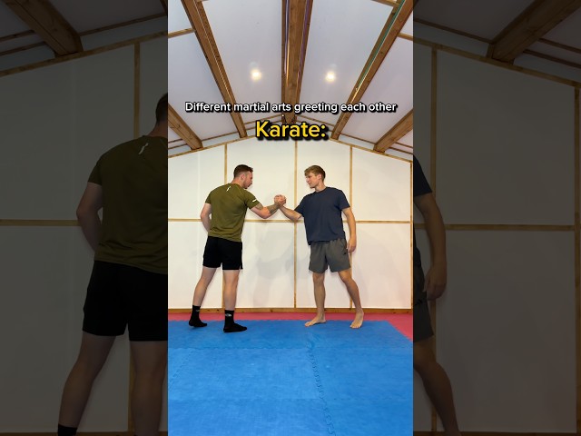 Different martial arts greeting each otherā¦