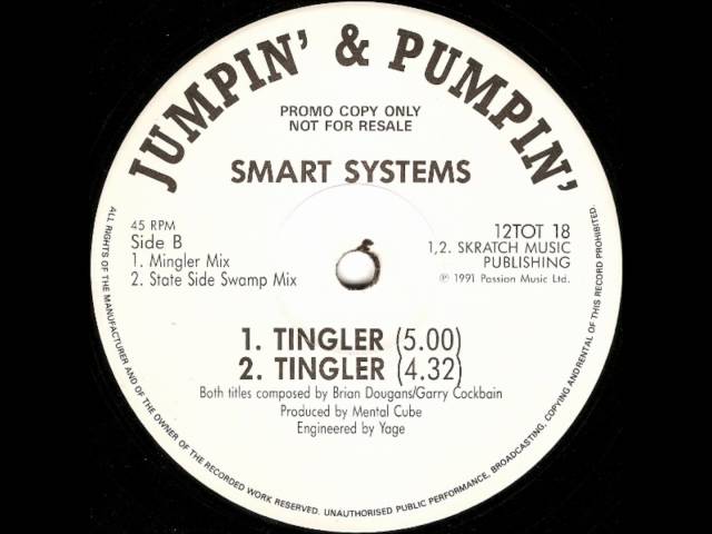 Smart Systems - Tingler