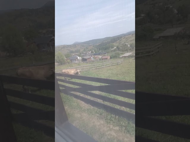 Train Part 1