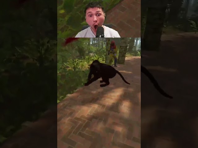 The Panther is bugged in Rust