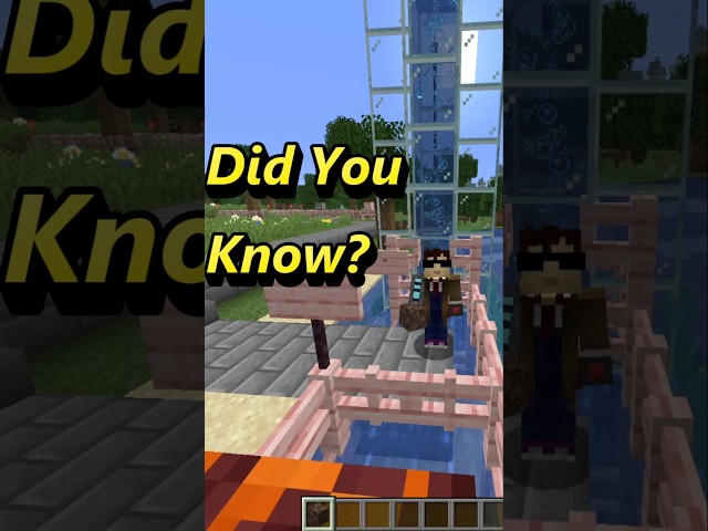 Did You Know Soul Sand Can Push You Up in Water in Minecraft? #minecraft #didyouknow