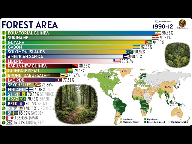 Countries with the Largest Forest Areas in the World