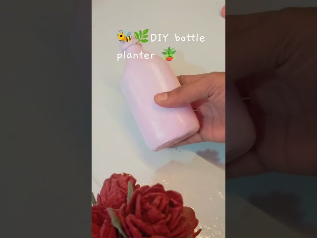 🪴🌿🐝DIY bottle planter 🪴#shorts #trending #viral #reels