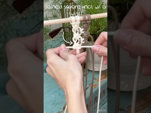 Square knot with a twist!🔀#macrame #tutorial #macrametutorial #easymacrame #forrestfrank #diy