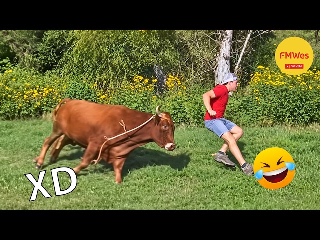 Funny Videos 🤣 If You Laugh You Lose GOD LEVEL #855 😎 Mexican Viral Humor 🤣