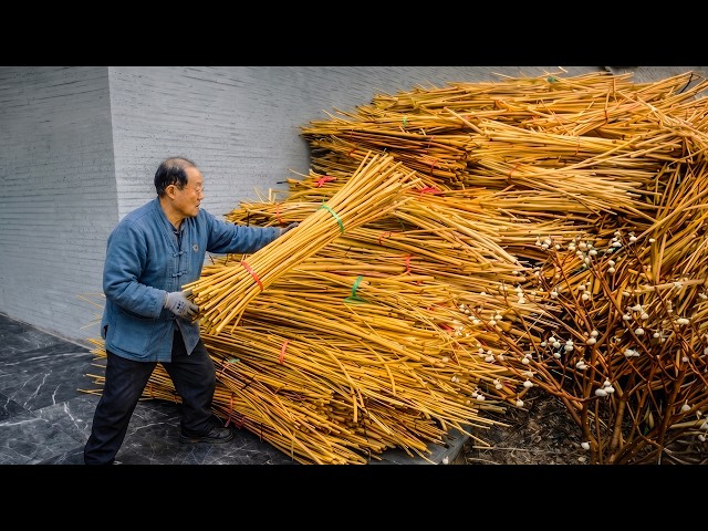 This Old Man Peels the Bark of Hundreds of Trees to Make Traditional Paper