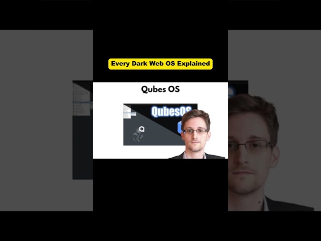 Dark Web Operating Systems Qubes OS and Kali Linux Explained... #Shorts #hackingtutorialsdaily