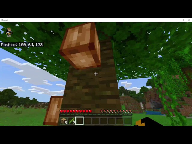 Test Video Minecraft Survival Letsplay {gamerboy has a mental breakdown}