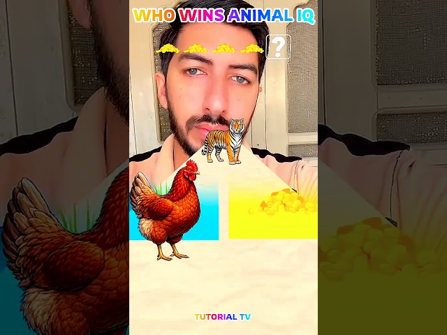 #edit