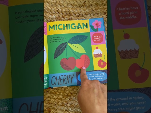 MICHIGAN | 50 STATES IN 50 WORDS | FUN FACTS FOR KIDS! | #learning #shorts #kids #readaloud