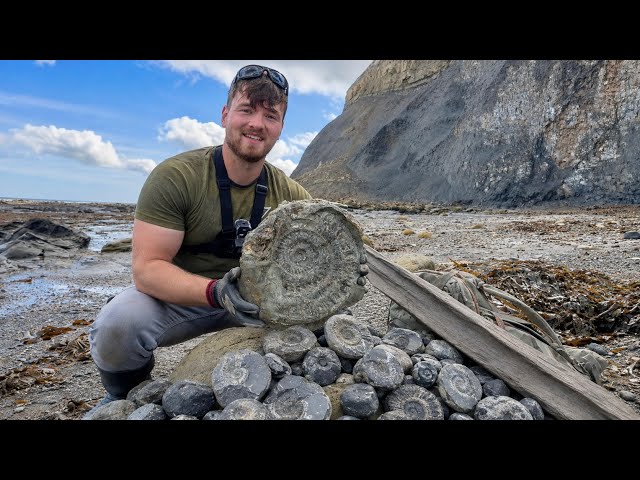 3 Days, 3 Beaches… We Found All These Fossils!