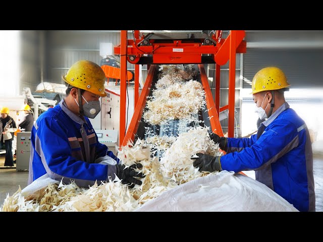 How to Recycle Coated Paper: See Our Paper Plastic Separation Machine in Action!