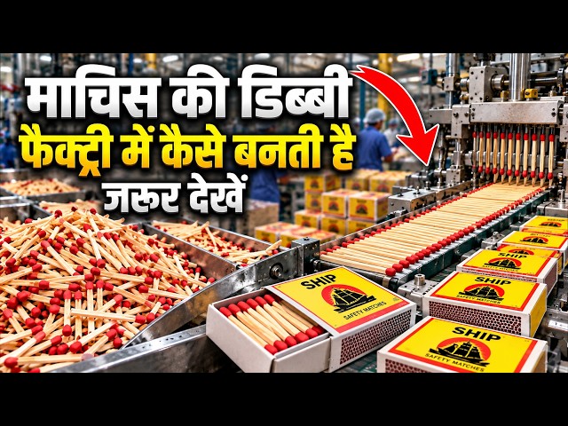 Factory Tour: लकड़ी से माचिस की तीली बनने का पूरा सफर