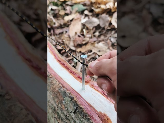 An Amazing Knot Tutorial!